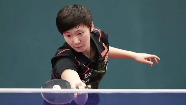 马的消费者 马的消费者